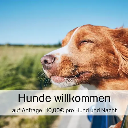 Ostsee-traumferienwohnungen Dünenresort Mit Meerblick Und Balkon Binz