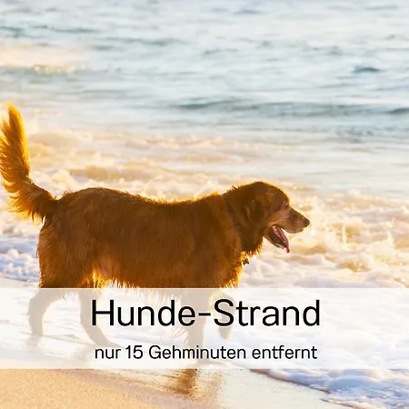 Ostsee-traumferienwohnungen Duenenresort - Meerblick, Balkon & Wallbox, Strandnah *